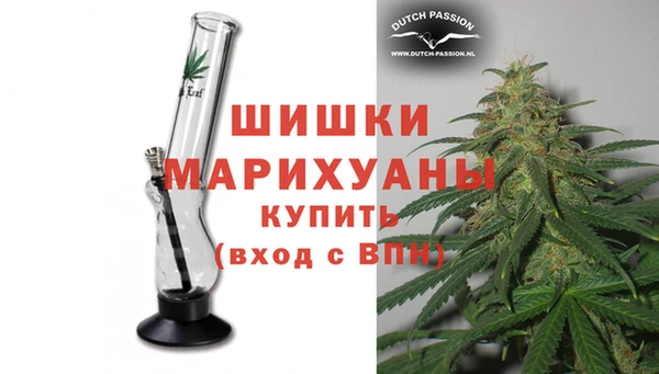 прущие грибы Ладушкин