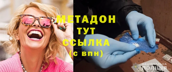 прущие грибы Ладушкин