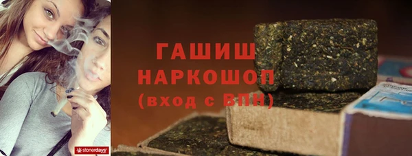 прущие грибы Ладушкин