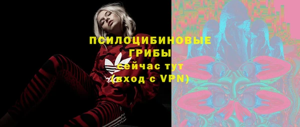 ПСИЛОЦИБИНОВЫЕ ГРИБЫ Лиски