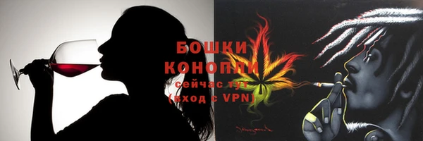 прущие грибы Ладушкин
