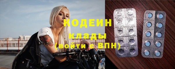 прущие грибы Ладушкин