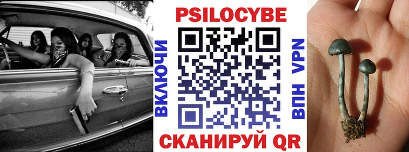 Псилоцибиновые грибы Cubensis  дарк нет какой сайт  Соликамск 
