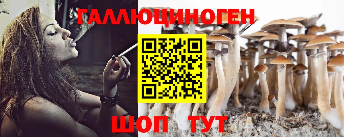 Галлюциногенные грибы GOLDEN TEACHER  Соликамск 